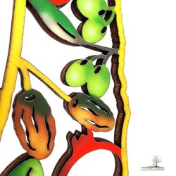 Colored Wooden DIY Seven Species Map of Israel Puzzle