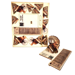 Educational David Ben-Gurion 3D Wooden Puzzle Kit