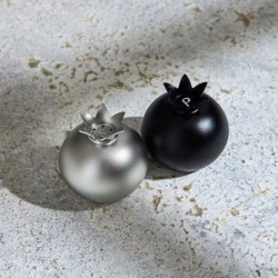 Pomegranate Salt and Pepper Shaker Set by Akilov Design