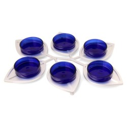 Modern Passover Seder Plate with Leaf Design