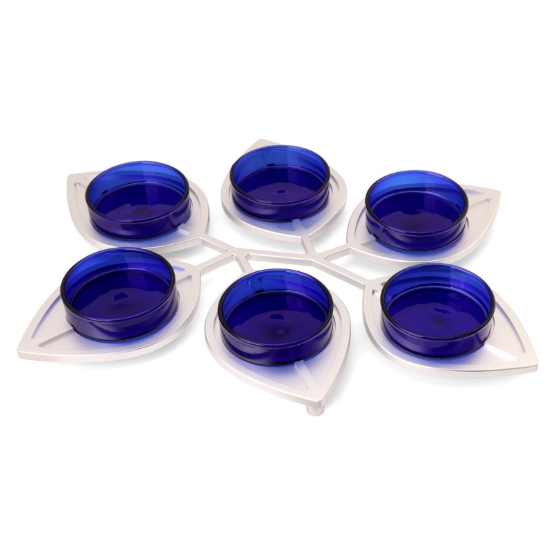 Modern Passover Seder Plate with Leaf Design