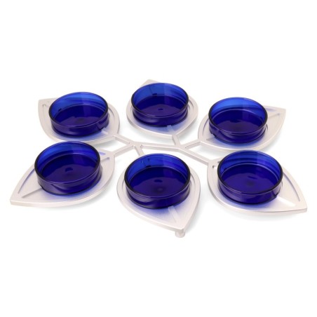 Modern Passover Seder Plate with Leaf Design