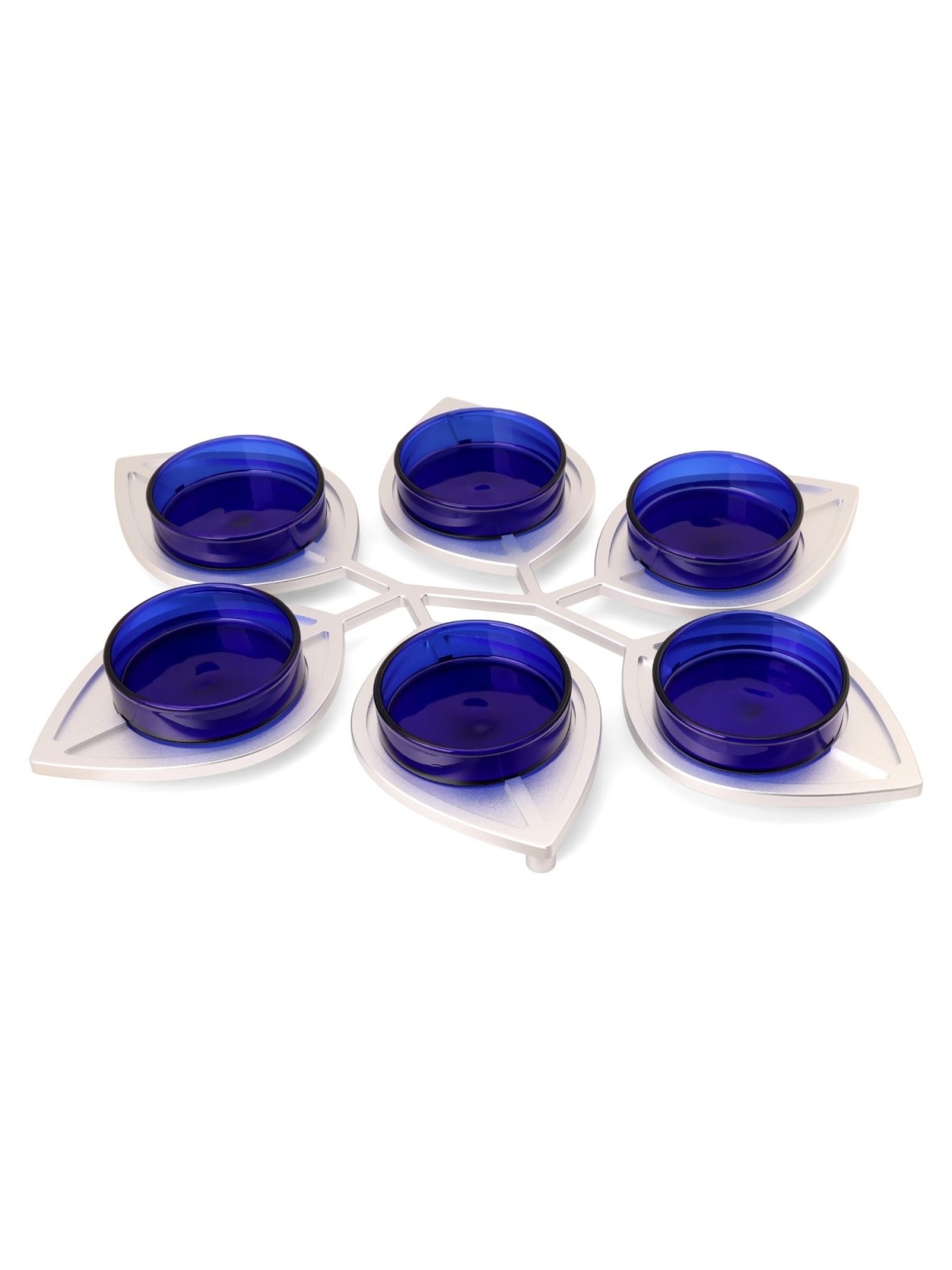 Modern Passover Seder Plate with Leaf Design