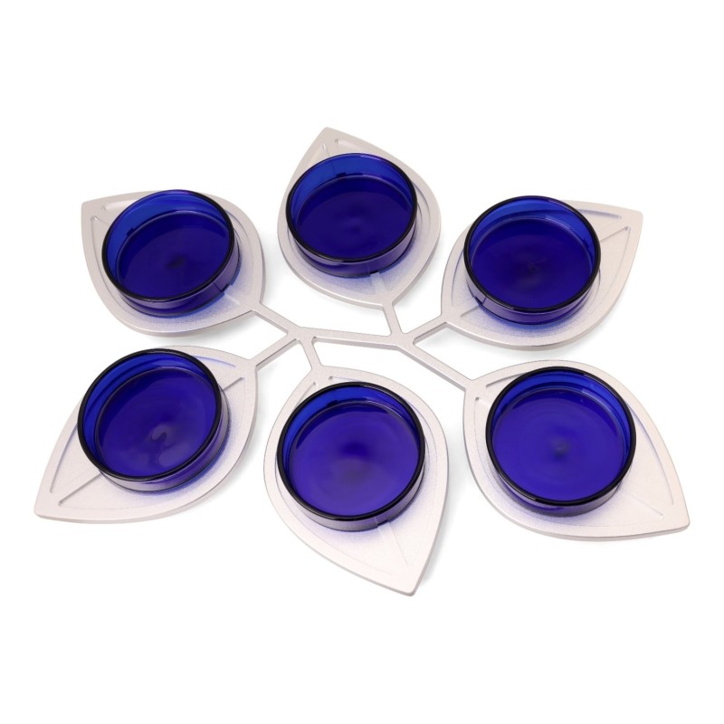 Modern Passover Seder Plate with Leaf Design