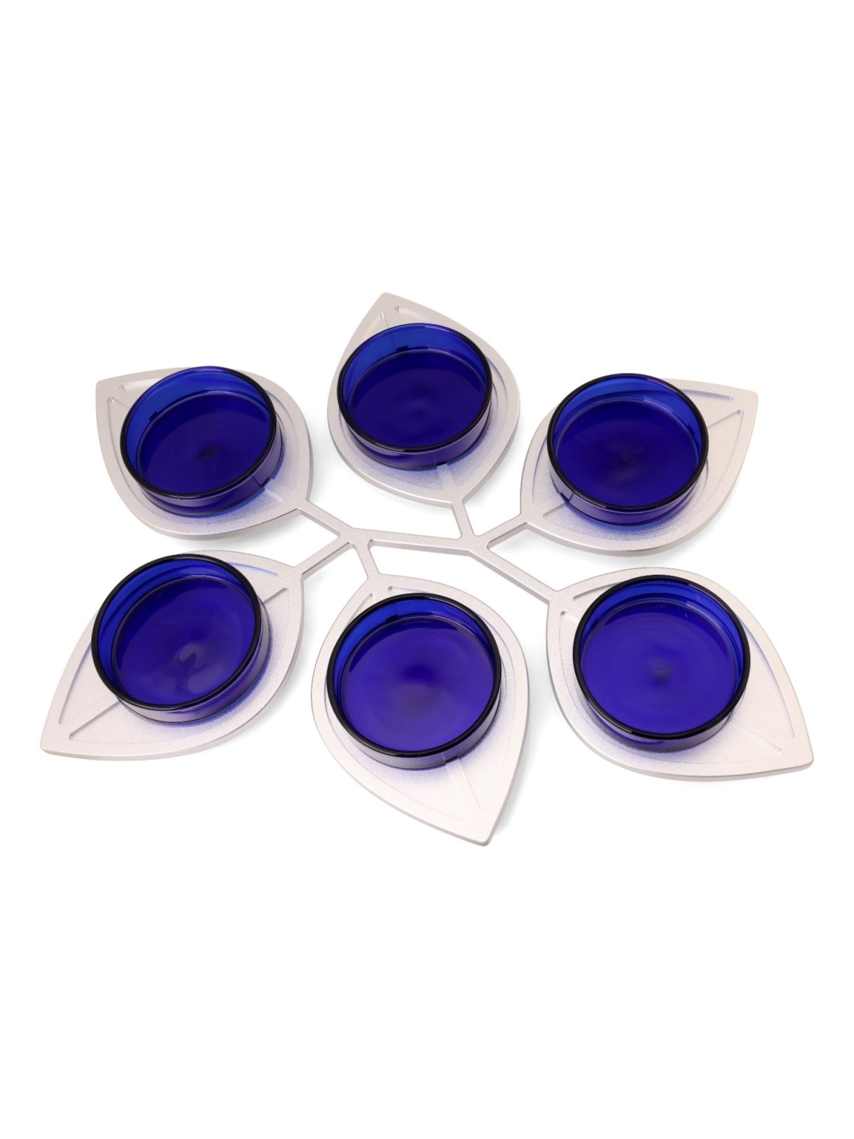 Modern Passover Seder Plate with Leaf Design