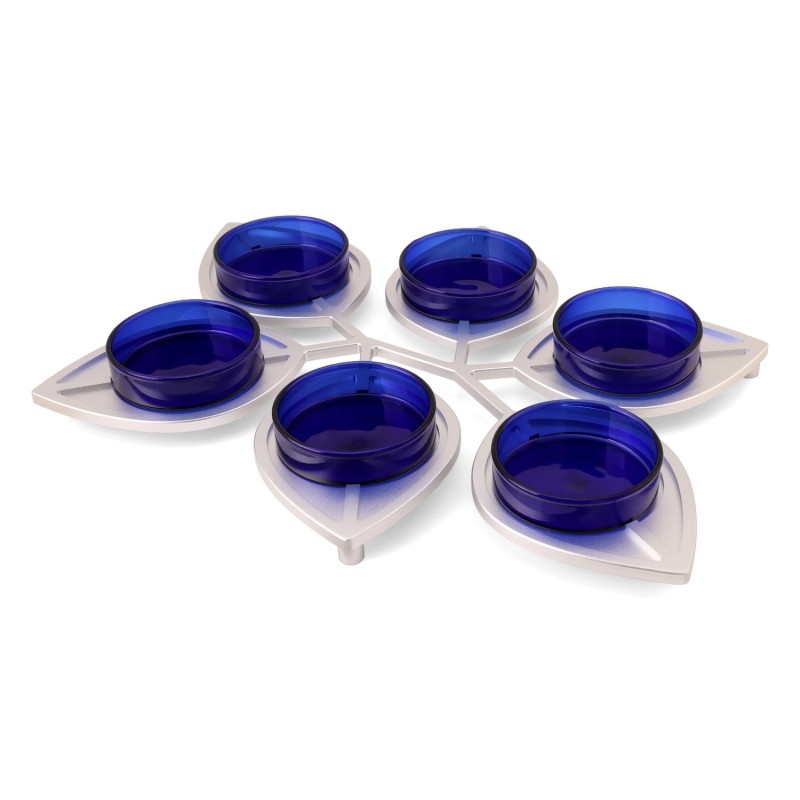 Modern Passover Seder Plate with Leaf Design