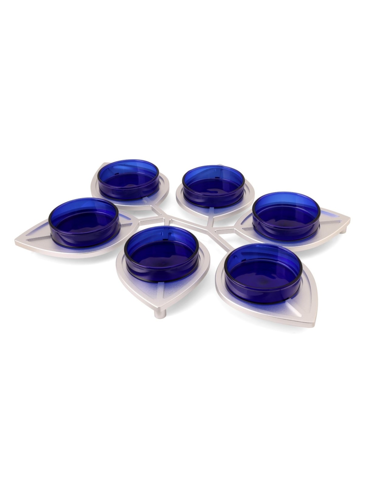 Modern Passover Seder Plate with Leaf Design