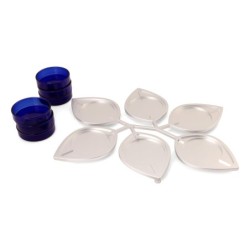 Modern Passover Seder Plate with Leaf Design