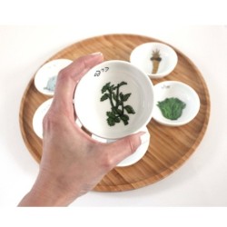 Modern Bamboo Passover Seder Plate by Mickala Design