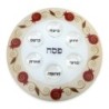 Must-Have Passover Seder Set By Lily Art - Pomegranates (Red)