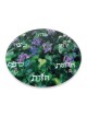 Glass Seder Plate By Jordana Klein - Flowers in the Judean Hills