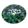 Jordana Klein Glass Matzah Plate - Flowers in the Judean Hills