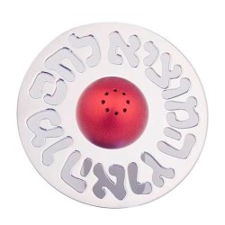 Aluminum Salt Shaker. Agayof Design