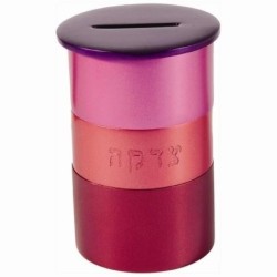 Yair Emanuel Anodized Aluminum Tzedakah (Charity) Box - Variety of Col