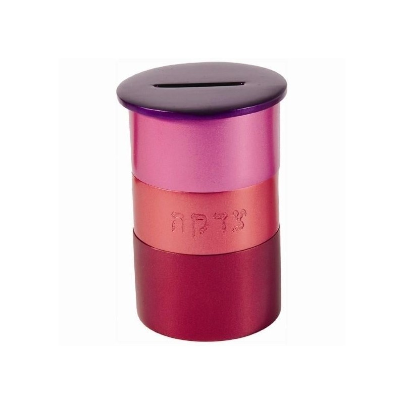 Yair Emanuel Anodized Aluminum Tzedakah (Charity) Box - Variety of Col