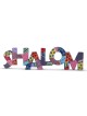 Yair Emanuel Hand Painted Shalom Wall Hanging - English