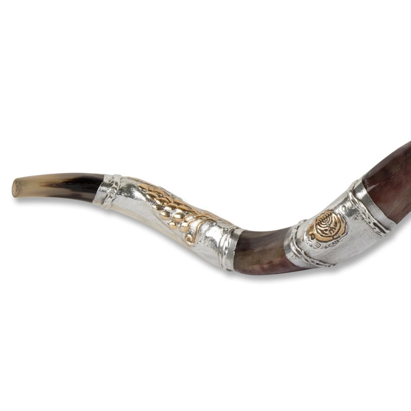 Sterling Silver Plated Yemenite Kudu Shofar - Lion Design (Choice of S