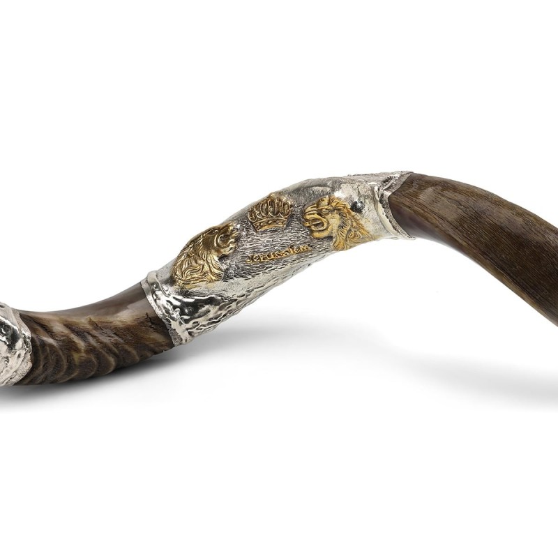 Sterling Silver Plated Yemenite Kudu Shofar - Lion Design (Choice of S