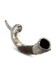 Sterling Silver Plated Yemenite Kudu Shofar - Lion Design (Choice of S