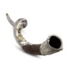 Sterling Silver Plated Yemenite Kudu Shofar - Lion Design (Choice of S