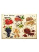 Seven Species: Interactive Educational Puzzle (Hebrew / English)