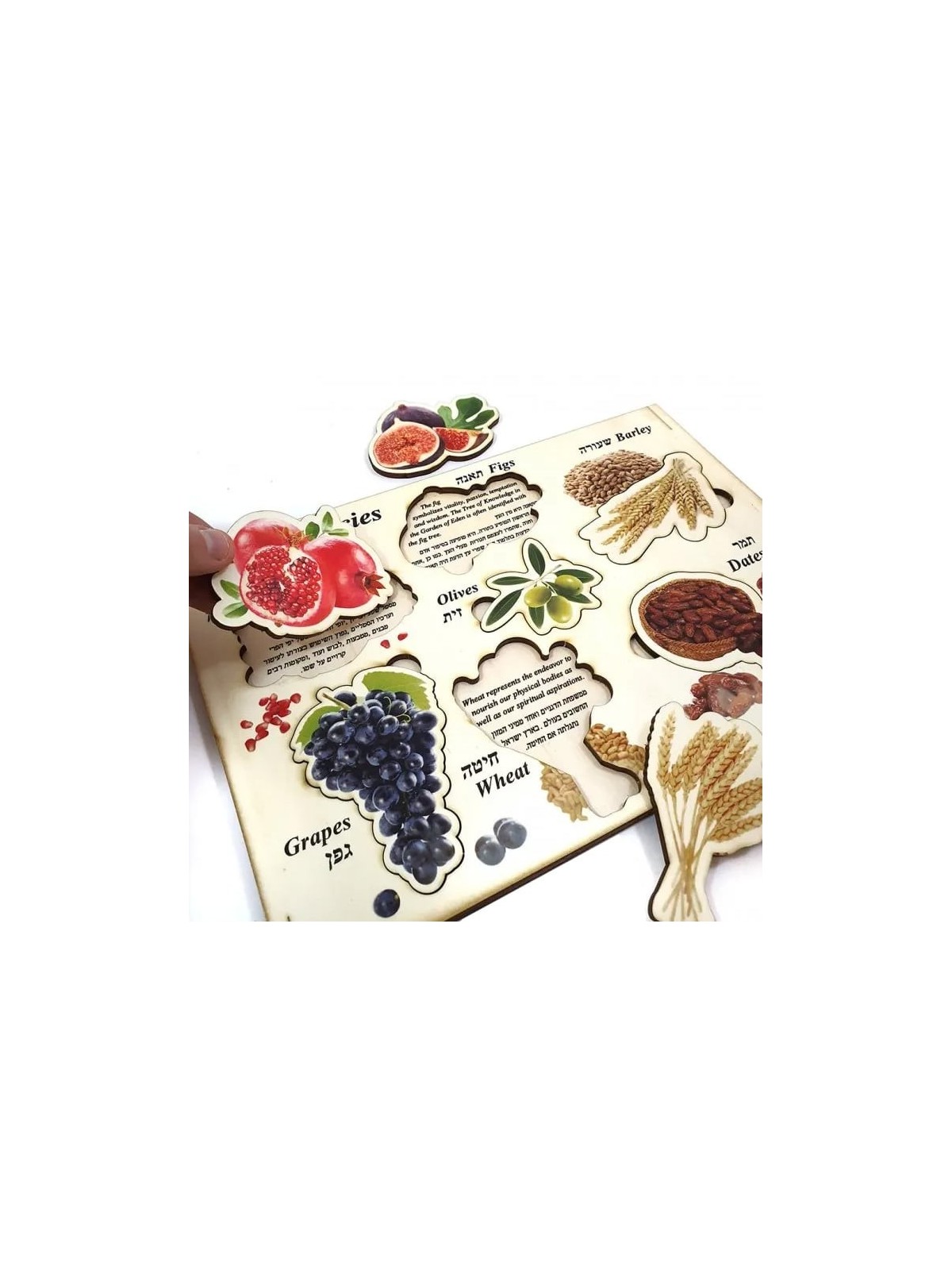 Seven Species: Interactive Educational Puzzle (Hebrew / English)