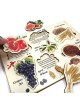 Seven Species: Interactive Educational Puzzle (Hebrew / English)