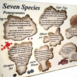 Seven Species: Interactive Educational Puzzle (Hebrew / English)