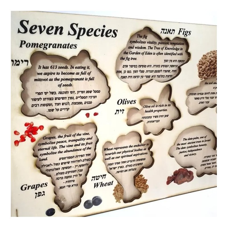 Seven Species: Interactive Educational Puzzle (Hebrew / English)