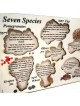 Seven Species: Interactive Educational Puzzle (Hebrew / English)