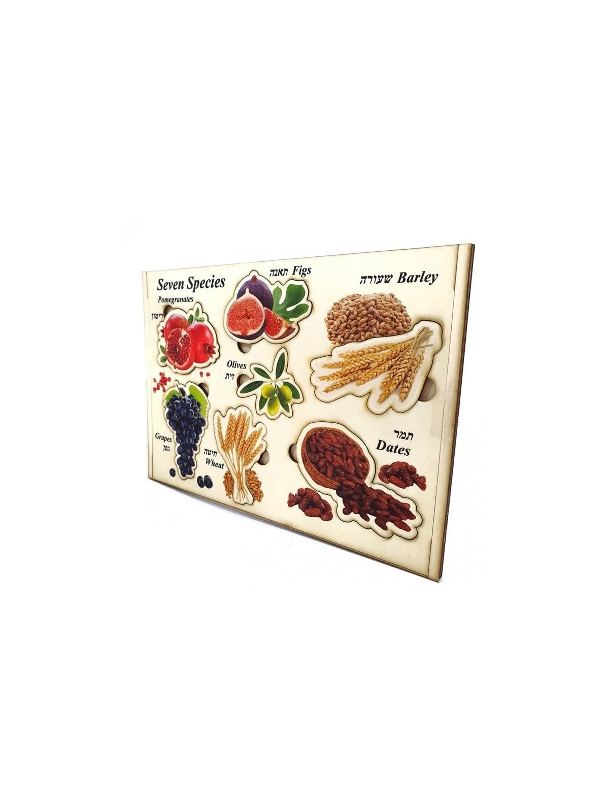 Seven Species: Interactive Educational Puzzle (Hebrew / English)
