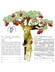 Ruth Rudin Personalized Blooming Pomegranate Tree Ketubah