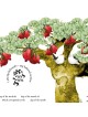 Ruth Rudin Personalized Blooming Pomegranate Tree Ketubah