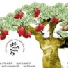 Ruth Rudin Personalized Blooming Pomegranate Tree Ketubah
