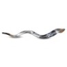Lion of Judah Hand Painted Kudu Shofar - Silver