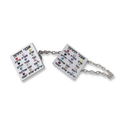 Nickel Choshen Tallit Clips