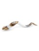 Lion of Judah Hand Painted Kudu Shofar - White