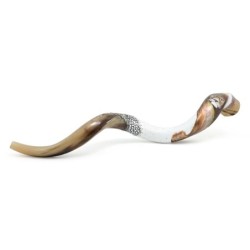 Lion of Judah Hand Painted Kudu Shofar - White