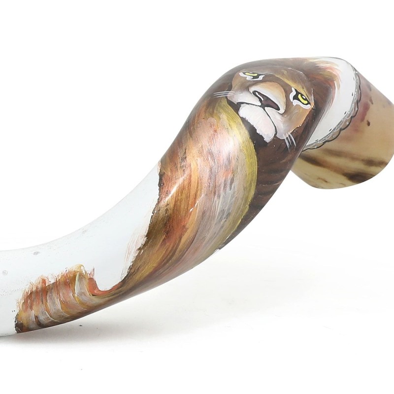 Lion of Judah Hand Painted Kudu Shofar - White