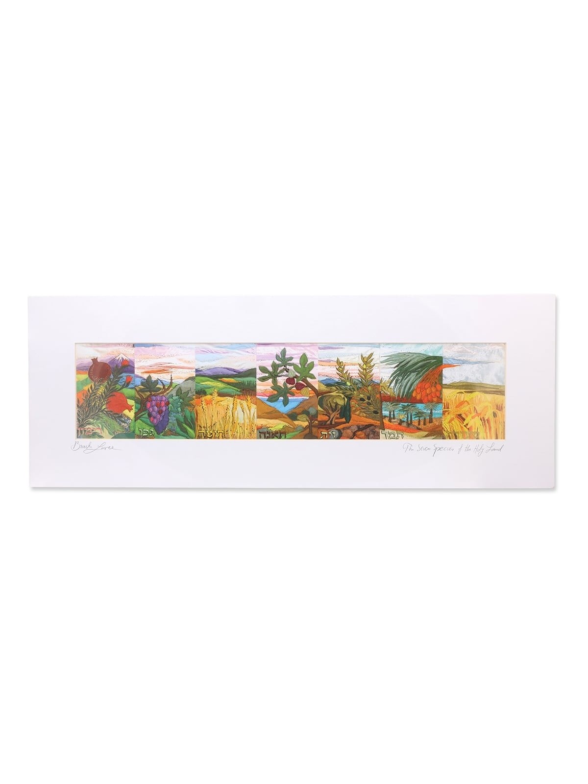 The Seven Species of the Holy Land - Bracha Lavee Print