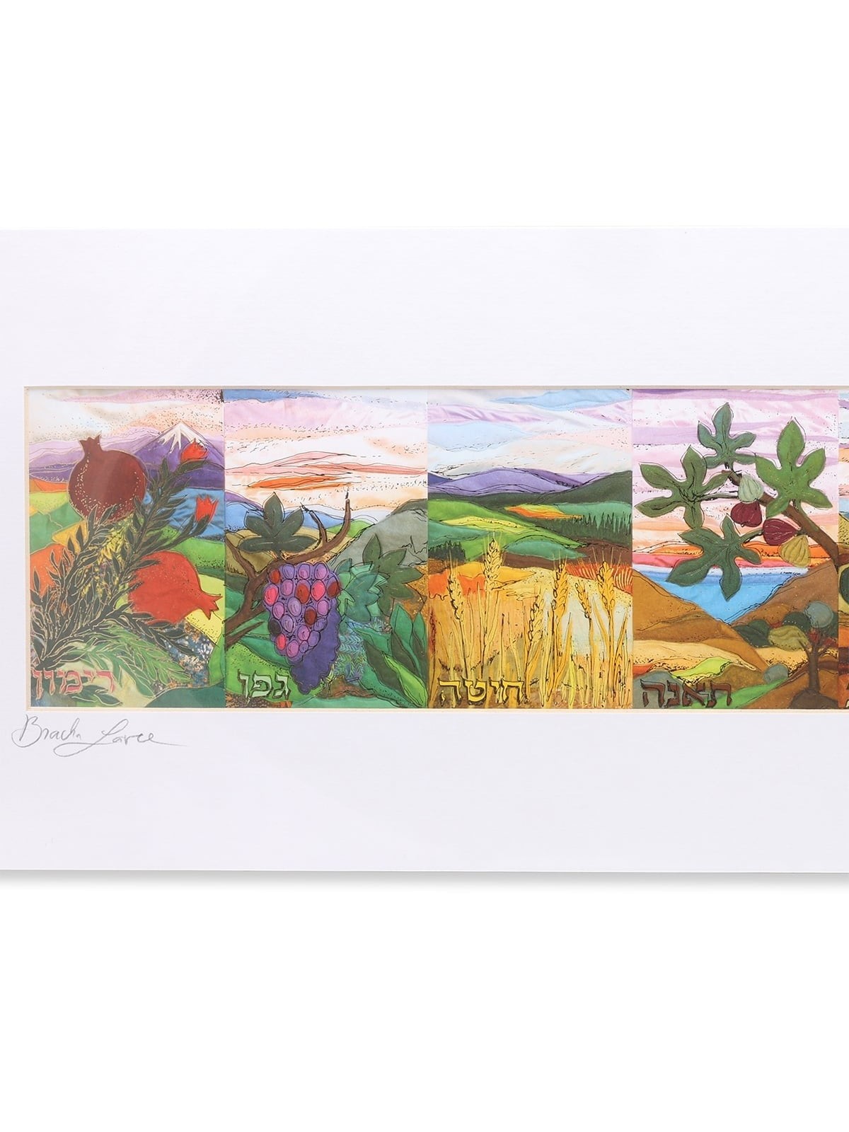 The Seven Species of the Holy Land - Bracha Lavee Print