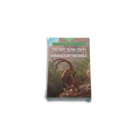 Animals of the Bible Picture Card Game
