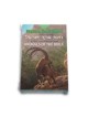 Animals of the Bible Picture Card Game
