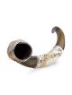Silver-Plated 'Lion and Lamb' Kudu Shofar By Barsheshet-Ribak