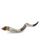 Sterling Silver Plated Yemenite Kudu Shofar - Hoshen and Menorah (Choi