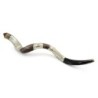 Sterling Silver Plated Yemenite Kudu Shofar - Hoshen and Menorah (Choi