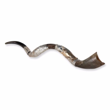 Sterling Silver Plated Yemenite Kudu Shofar - Lion of Judah (Choice of
