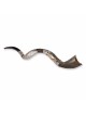 Sterling Silver Plated Yemenite Kudu Shofar - Lion of Judah (Choice of