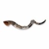 Sterling Silver Plated Yemenite Kudu Shofar - Lion of Judah (Choice of
