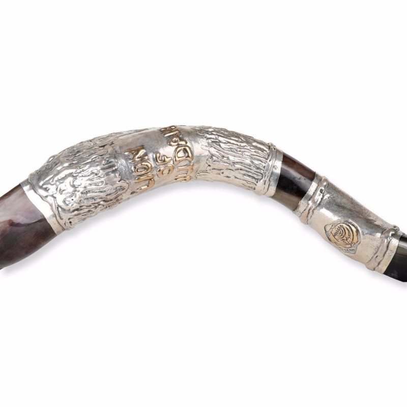 Sterling Silver Plated Yemenite Kudu Shofar - Lion of Judah (Choice of